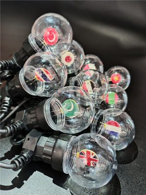 1900K  120V E17 Base  Round Vintage Decorative Filament Bulb