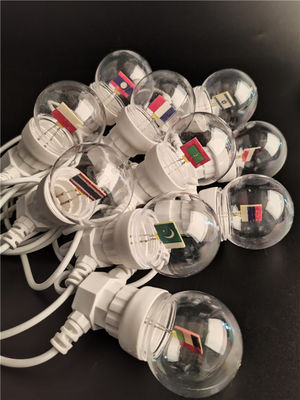 1900K  120V E17 Base  Round Vintage Decorative Filament Bulb